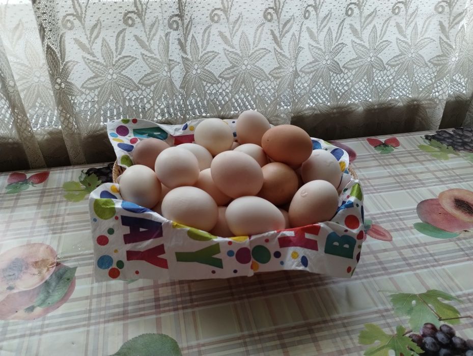 Vând ouă mari de găină .