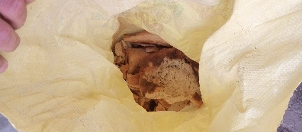 Mol uchun ut sorgo beda maysa