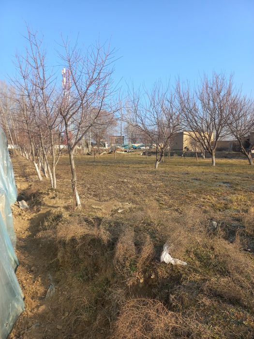 Тохиршайх МФЙ Тохиршайх