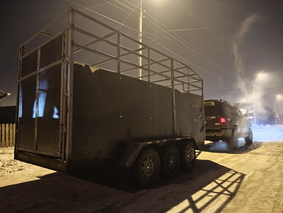 Перевозка лошадей, крс, мрс, коневозка