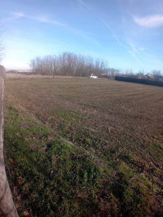 Teren intravilan în comuna Ileana-Călărași