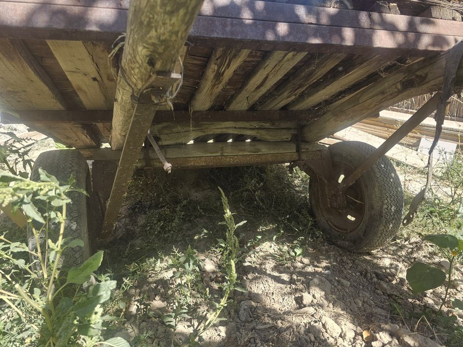 Бричка для ослов ишаков