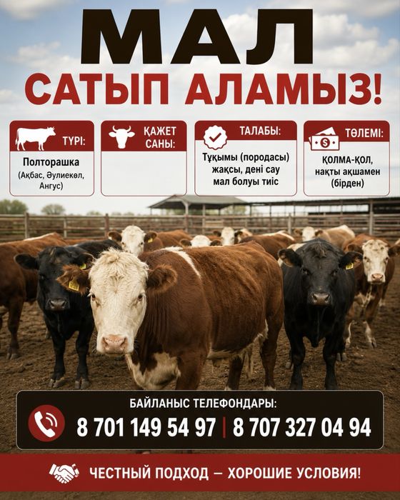 Бука акбас ангуст