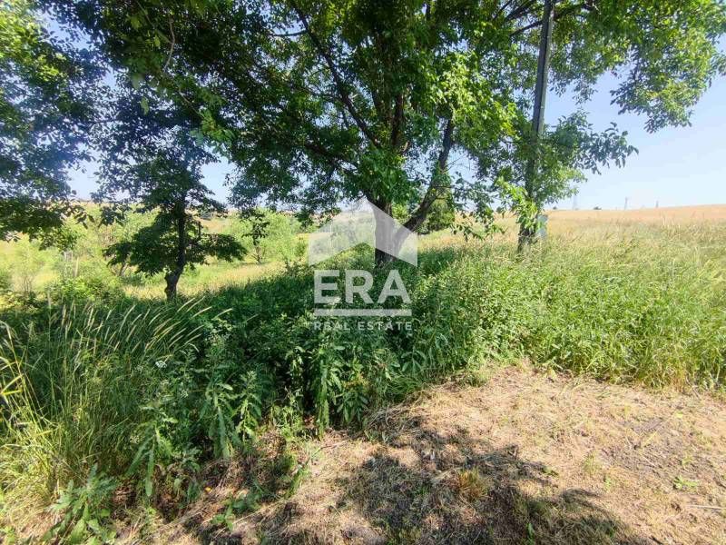 Продава се Парцел в Хасково, Промишлена зона - Изток - 1000 кв.м за 24 €/кв.м - Снимка #3