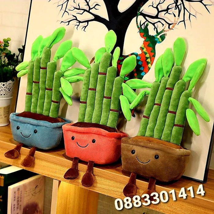 Плюшен бамбук в саксия Bamboo