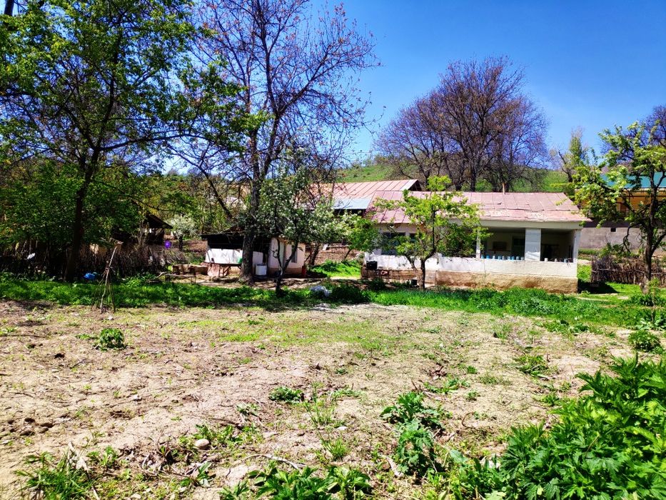 Uchastka sotiladi, Nefrit ko'liga yaqin joyda joylashgan