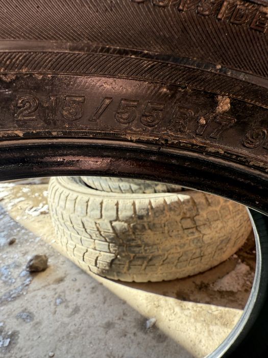 Шина. Все сезоны