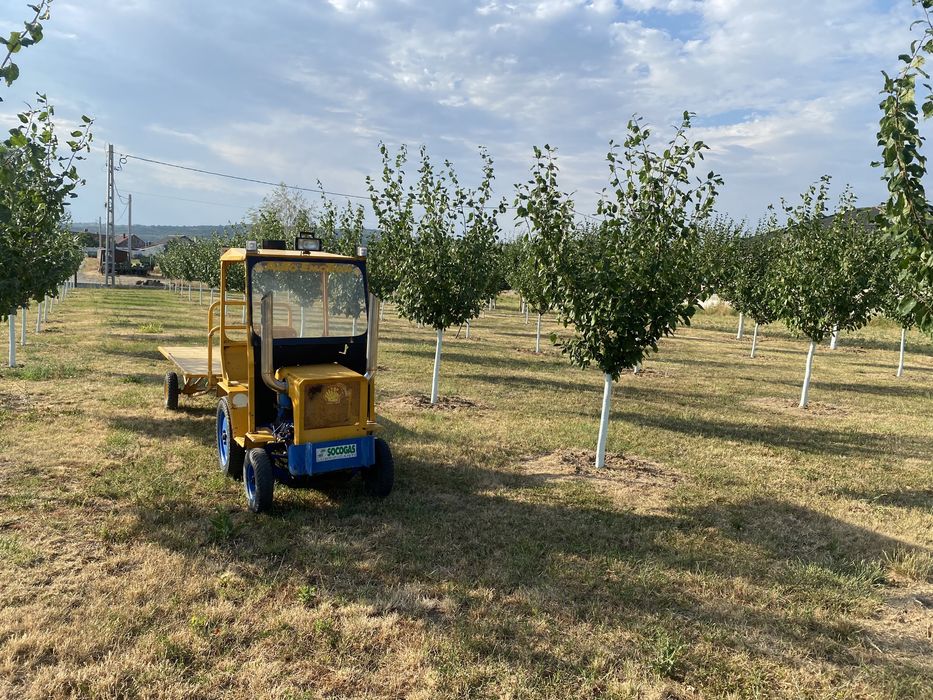 Tractor diesel 1 cilindru  4 viteze inversor pt livada gradini