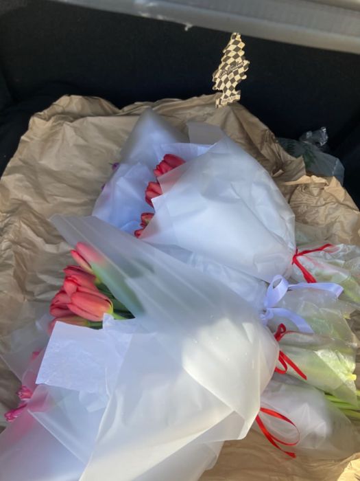 Тюльпаны в розницу и опт