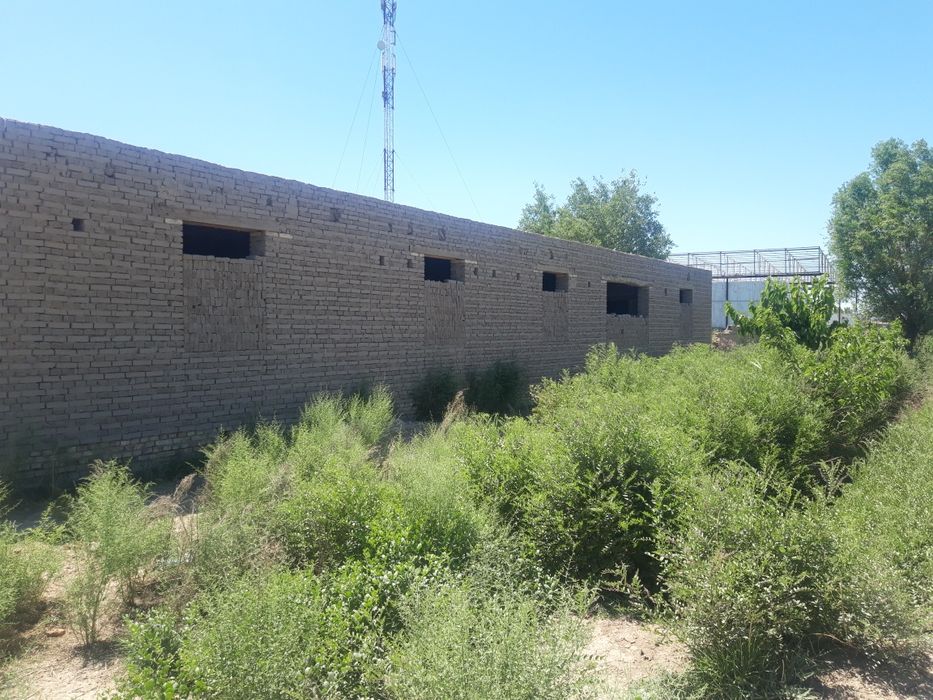 Урганч туманида дурман ж.х жойсатилади