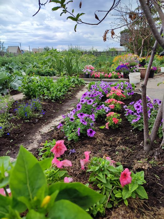 Продаю дачу на Федоровке