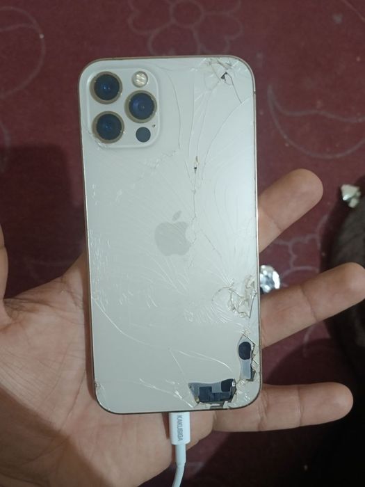 Ipxone 12 pro srochni sotilad