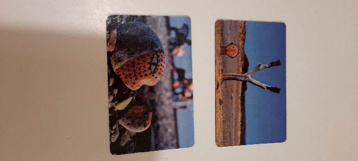 Магнити от България и други страни