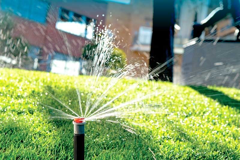 Газон,автополив