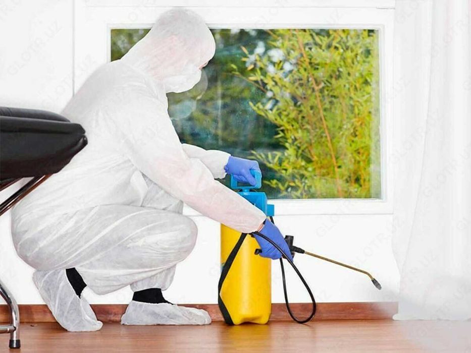 Dezinfeksiya xizmati | Dizinfeksiya | Dorilash xizmati | Klapaga Dori