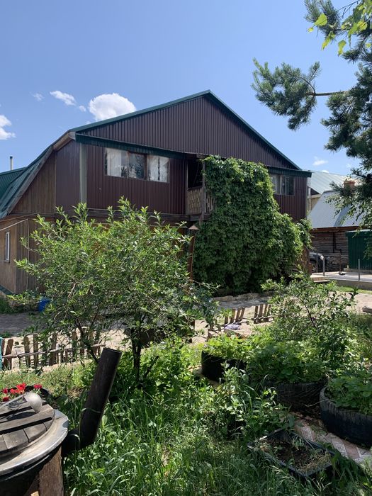 Сдам коттедж на 14 человек. Выход в лес. Дом. Зеренда