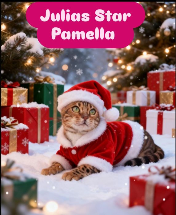 Бенгальские котята  для вас!