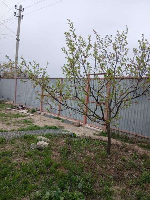 Таскаладан  времянка сатылады  24 кв.м.