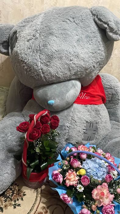 3 metrli Ayiq holati yangi srochna sotiladi oladiganla yozilar.