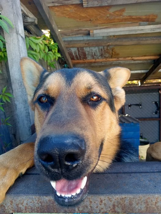 Ищем девочки для нашего красавчика