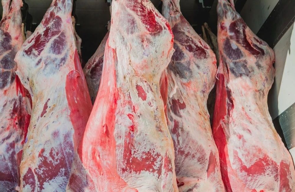 Мясо говяжий фото Мясо говяжий фото