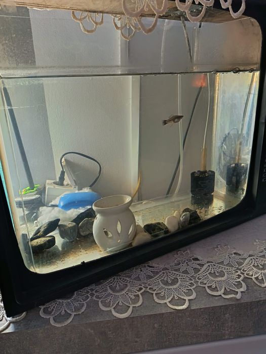Acvariu retro,  antic