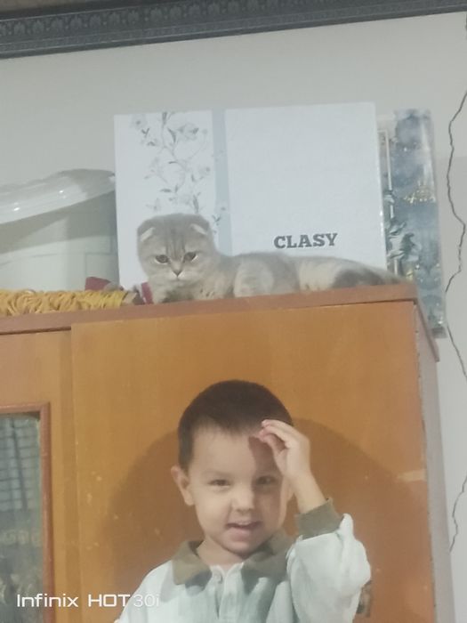 Sotiladi 1 yoshdan oshgan 500min