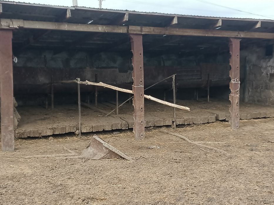Продается фазенда с удобствами