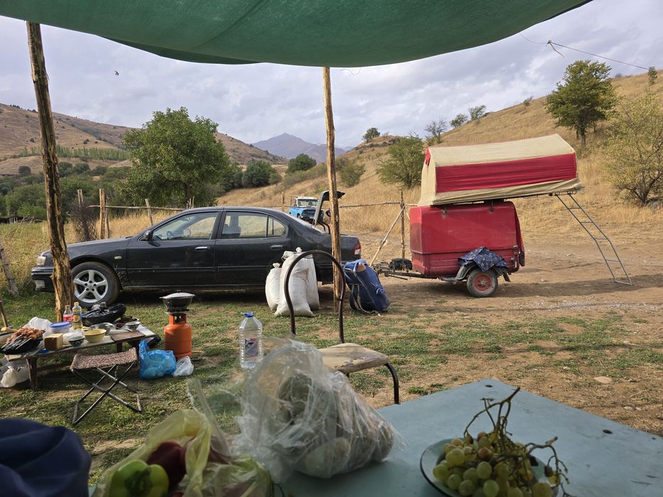 Багажник палатка