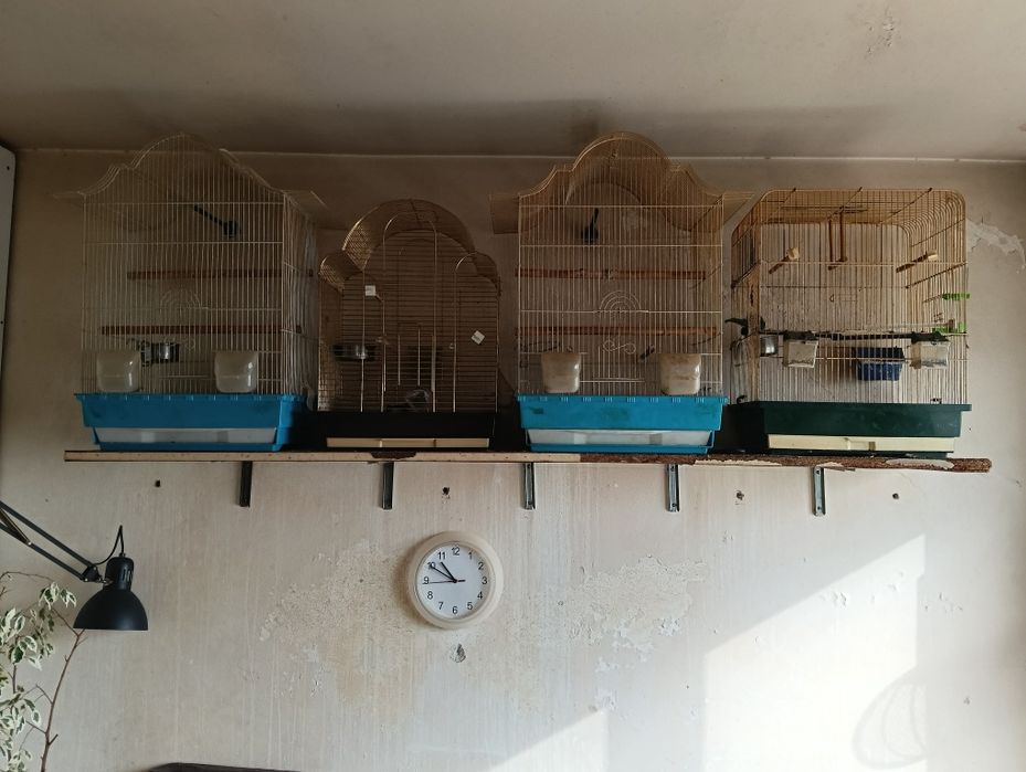 Patru colivii mari înălțime 70cm lățime 45 adâncime 30cm