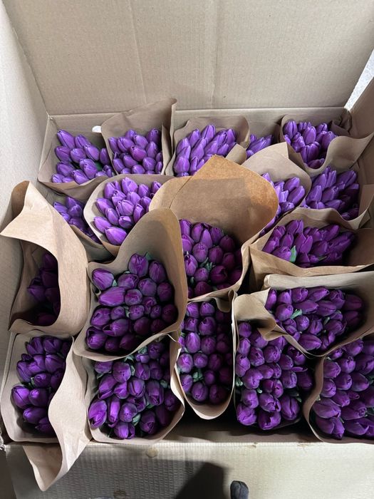 Продаём Тюльпаны