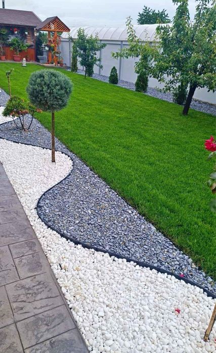 Plante ornamentale ,gazon ,tuia,mesteacan