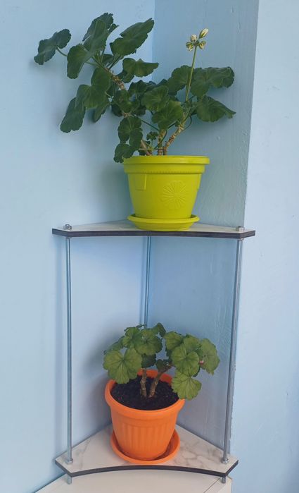 Цветарник - етажерка