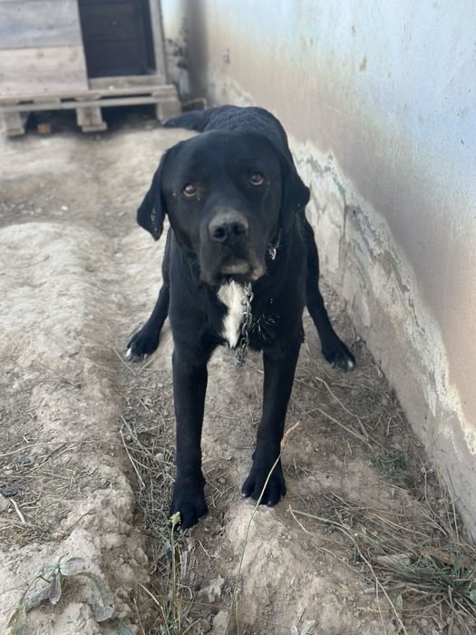 Мальчик 2-3 года