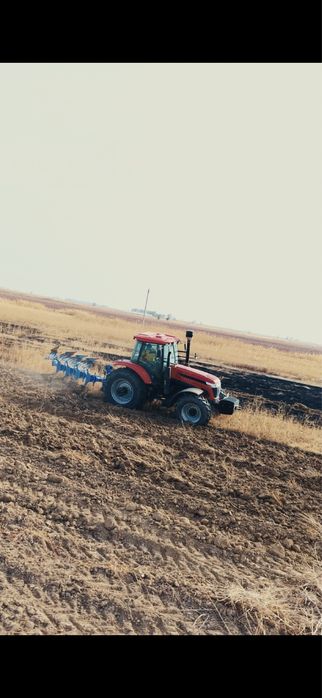 Трактор Wuzheng TS 2114