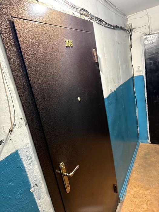 Дверь входная темная