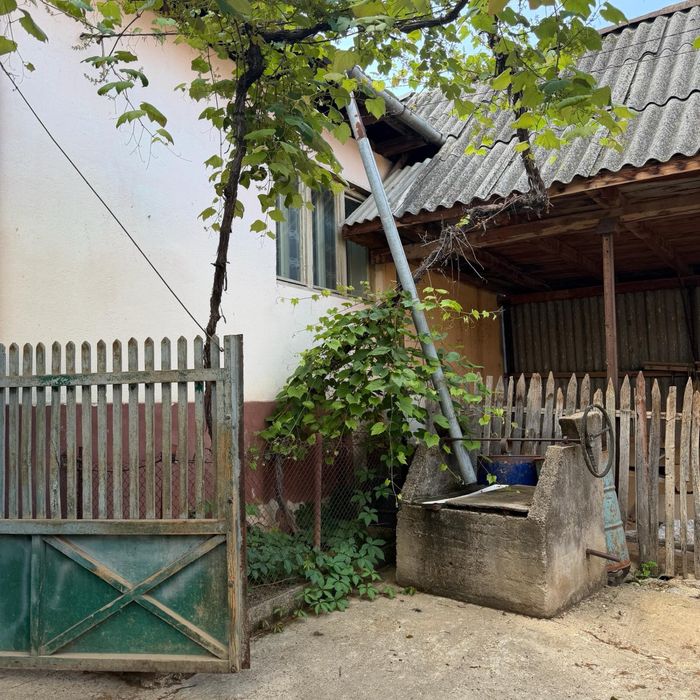 Casa cu gradina de vanzare
