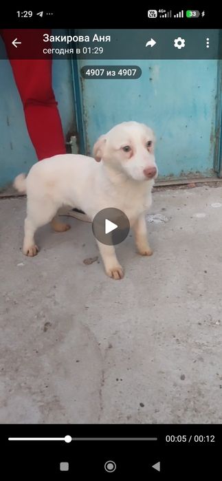 Пропала девочка подросток