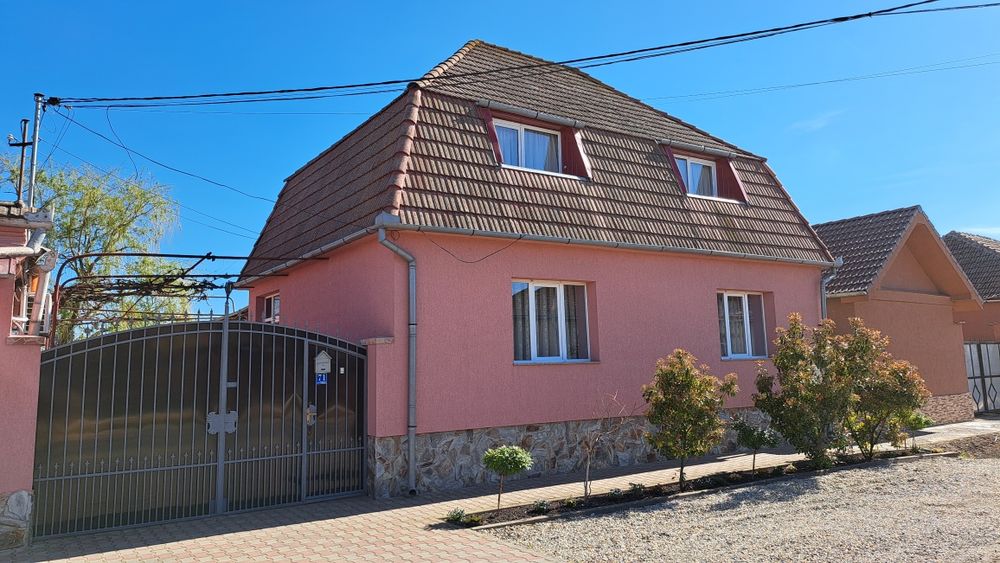 Casa mare cu spatiu comercial in centrul satului Tarian