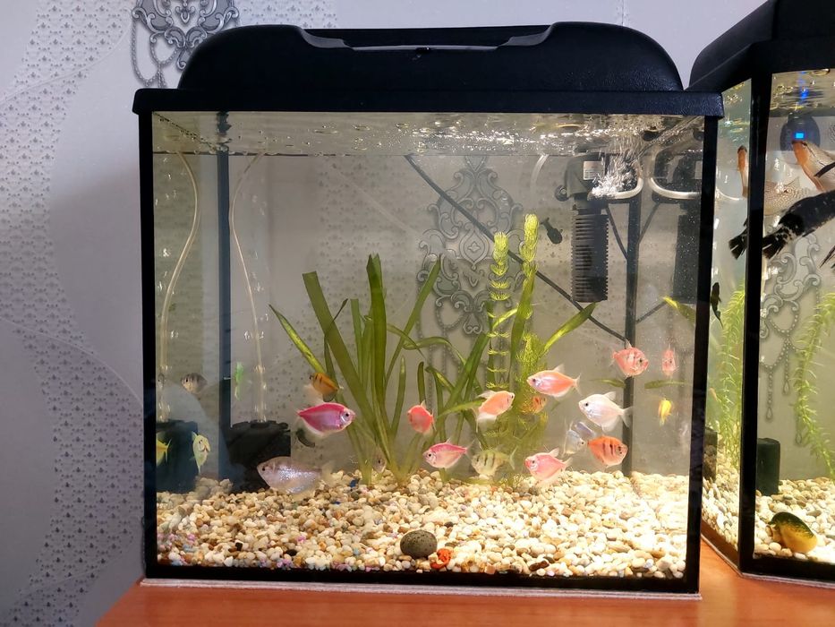 Сатылады25л 25л 40л