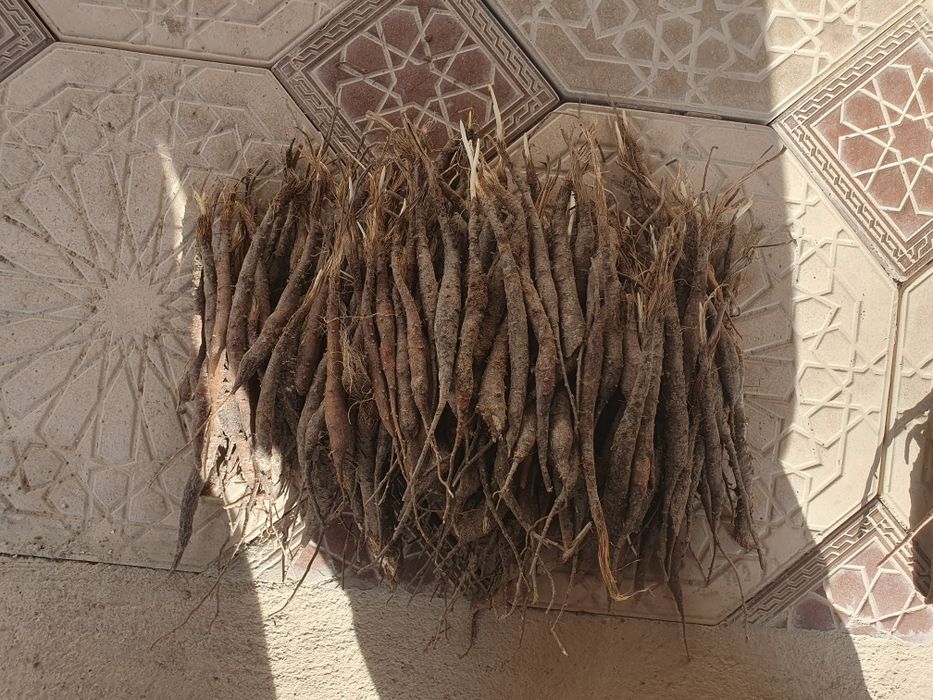 Kovrak kòchatlar sotiladi.