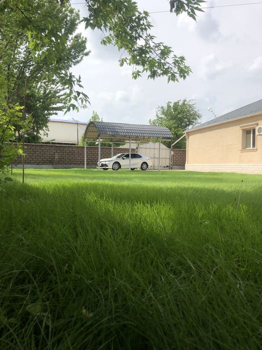 Газон Автополив.