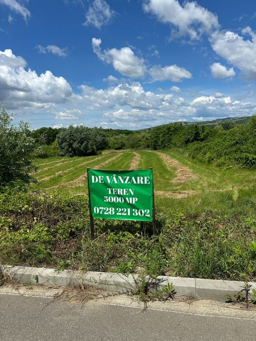 Teren de vânzare 5000mp