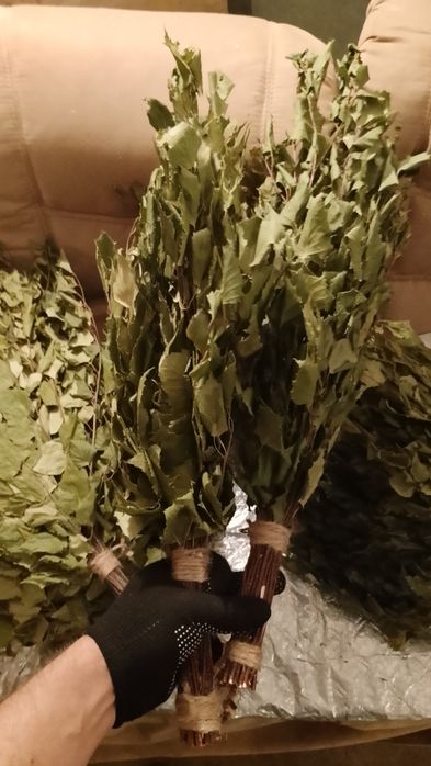 Продам берёзовые веники
