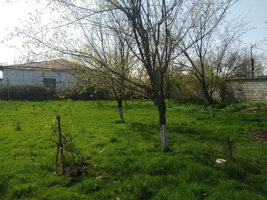 Продам или Обмен участ 17,5  сот. в Ийк-ота.