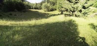 OPORTUNITE PENTRU INVESTITORI - Teren intravilan 1,7 ha – Colibița