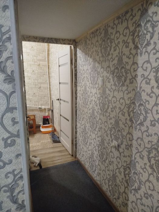 Продается 1/2/4 Карасу 4