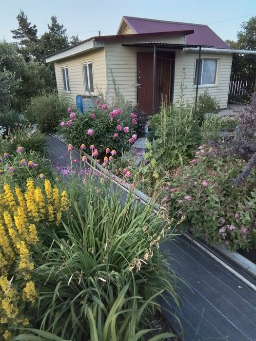 Продам дачу в с/т Эврика