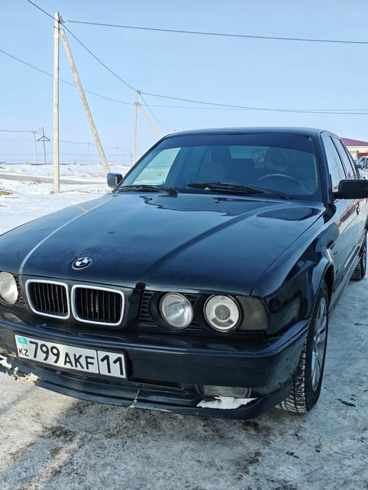 СРОЧНО САТЫЛАДЫ, Қызылорда обл