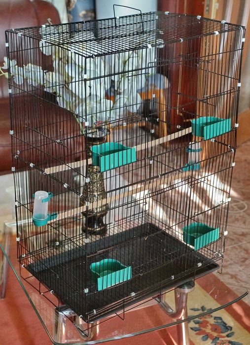 Cusca-colivie incapatoare pentru pasari exotice